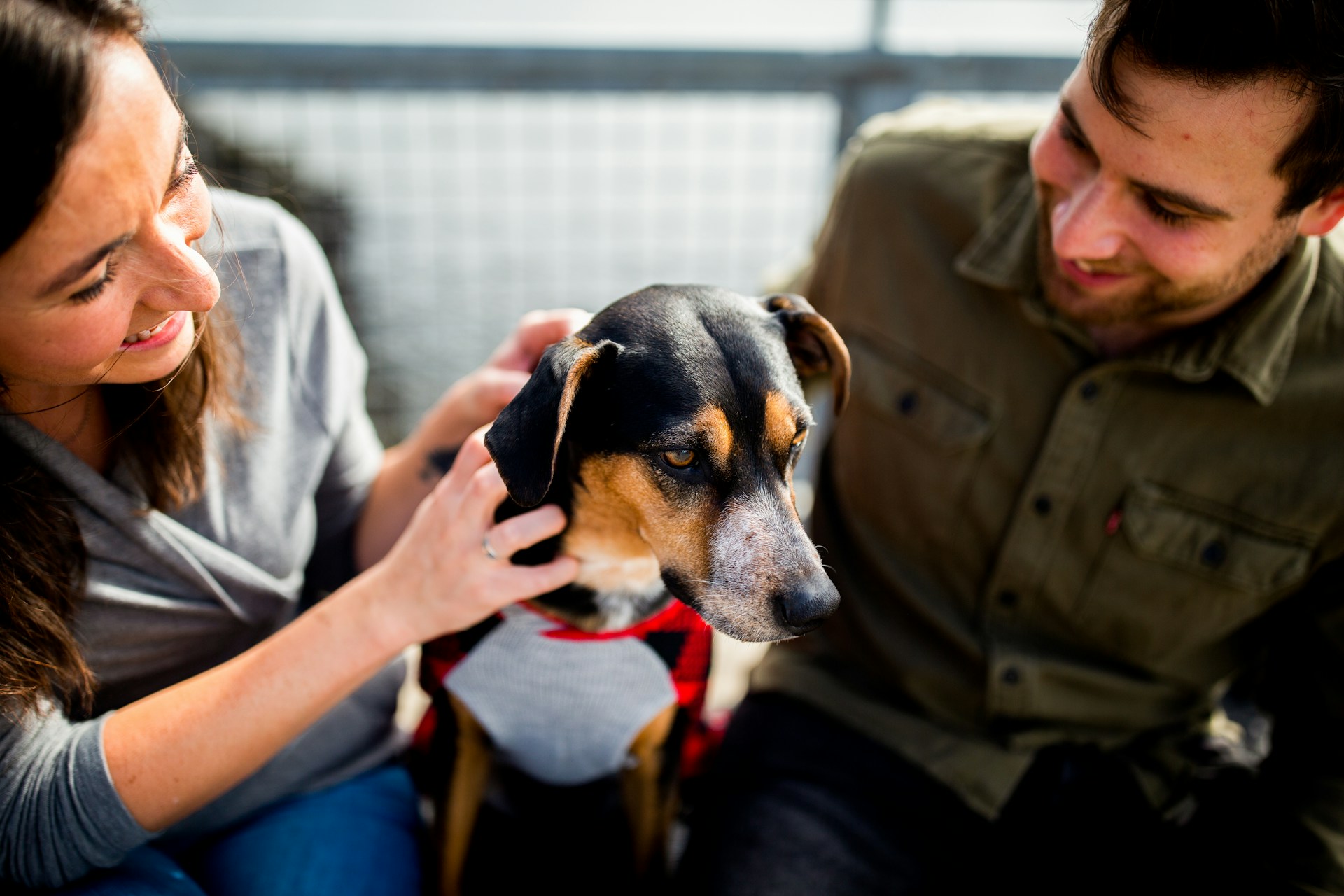 "Are You a Pet Person? Discover the Surprising Traits That Set You Apart from Your Partner!"