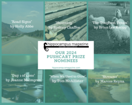 "Discover the Untold Stories: Hippocampus Magazine Unveils 2024 Pushcart Prize Nominees in Creative Nonfiction!"