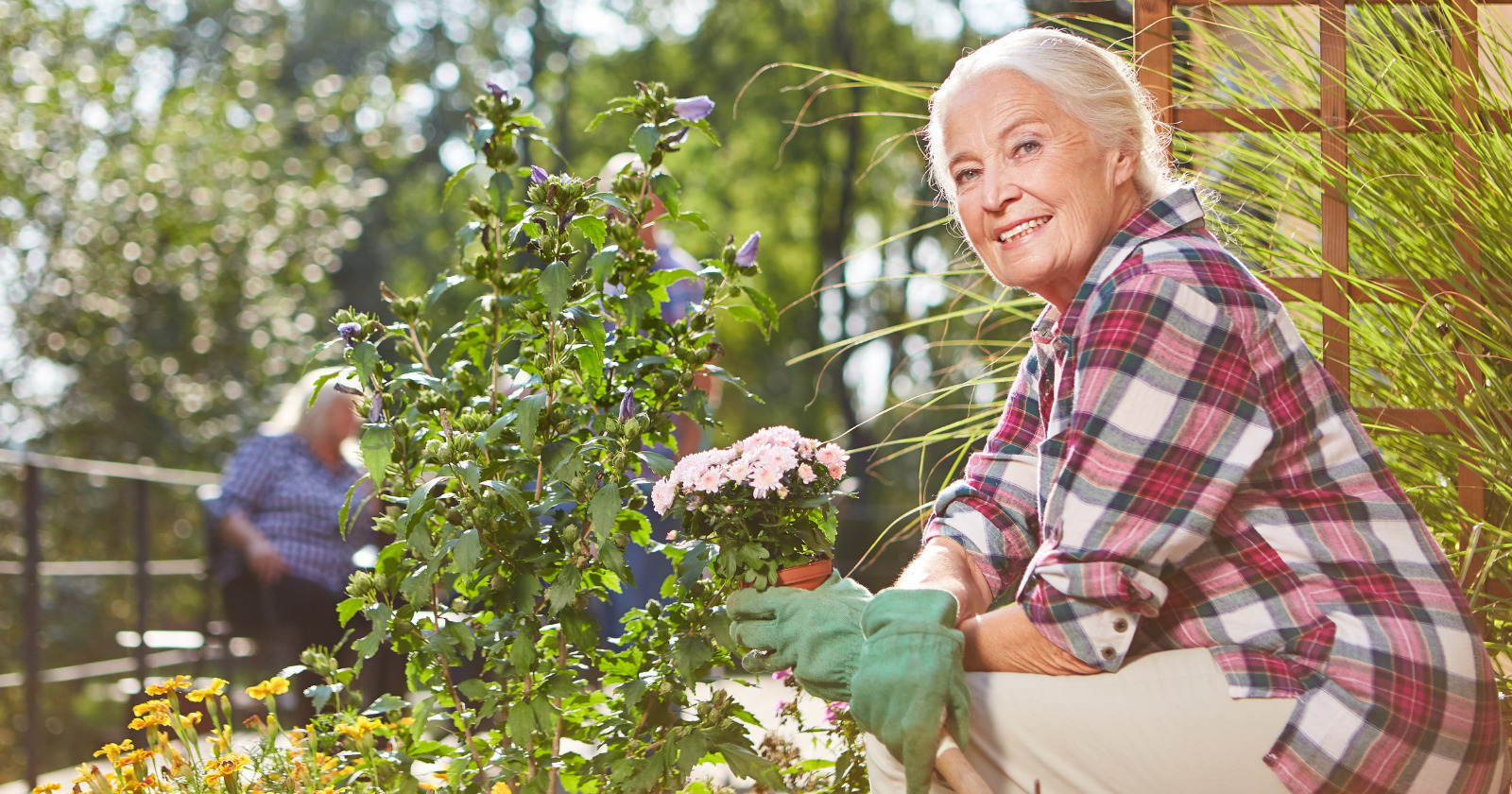 "Discover the 8 Surprising Daily Rituals of the Happiest Retirees: Unlock the Secrets to a Joyful Life After Work!"