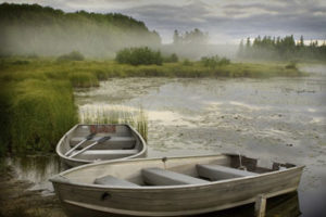 "Unlock the Mystery of Poetry: Dive into Couplets and Quatrains with 101 Creative Writing Exercises"
