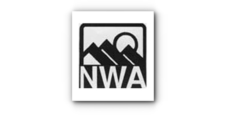 Unveiled: The Secret Society of National Writers — Who Really Holds the Pen?