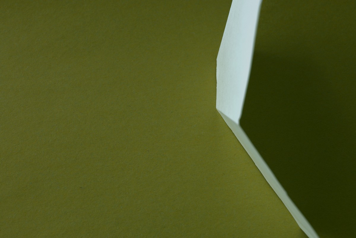 Discover the Hidden Depths and Surprising Twists Within Tara Lynn Hawk’s Poem "The New"