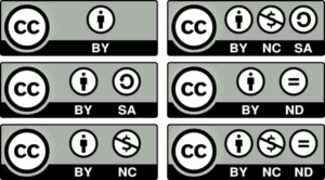 Unlock the Surprising Secret to Waiving Copyright on Your Self-Published Book—What Every Author Needs to Know!