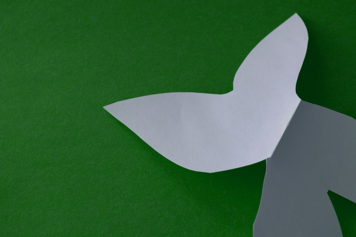 Unveiling Shadows: The Haunting Truth Behind C.J. Hemsley's Untitled Poem