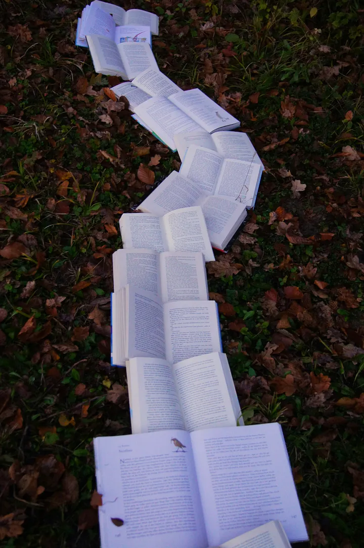 The Unexpected Downside of a Viral Debut Book—What No Author Tells You