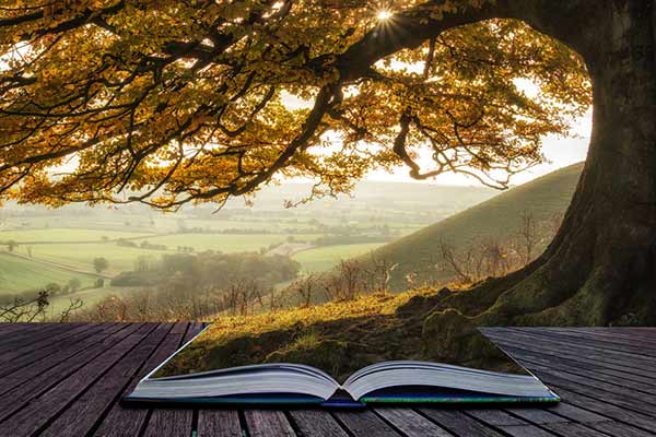 Unlock the Secret Power of Storytelling: Master the Three Acts That Captivate Audiences Instantly