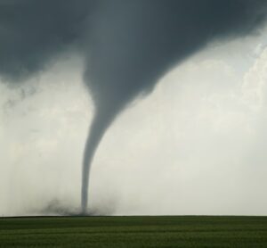 When Male “Karens” Clash with K9 Tornado Warnings: A Surprising Twist Unveiled