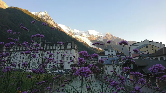 Escape Reality: How a Writer’s Workshop Transforms Your Vacation into a Creative Journey