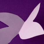 The Unexpected Melody That Healed a Lifetime of Heartache—Discover the Robin’s Secret Song