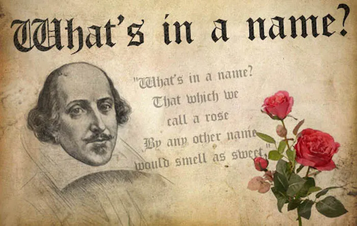 Unlocking the Secret Power Behind Character Names That Could Make or Break Your Story