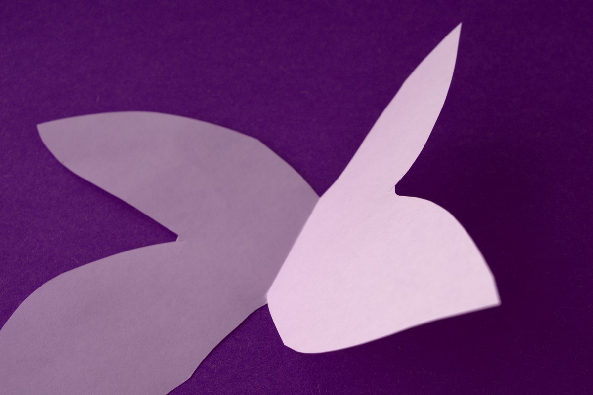 Unveiling the Hidden Colors: Kathy Anderson’s Poem That Transforms Life’s Ordinary Moments