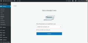 Subdomain or Subdirectory: The Surprising SEO Secret That Could Make or Break Your Website!