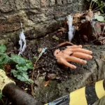 The Shocking Truth Behind Clickbait: Why Writers Sacrifice Humanity for Clicks