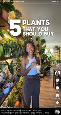 The Ultimate Showdown: Instagram Reels or TikTok Videos – Which Platform Holds the Secret to Viral Fame?