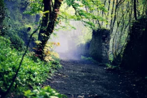 Unlock the Forgotten English Words That Could Transform Your Vocabulary Today