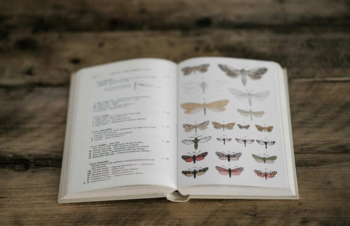 Unlock the Secret to Pinpointing Your Book’s Genre and Captivating Readers Instantly!