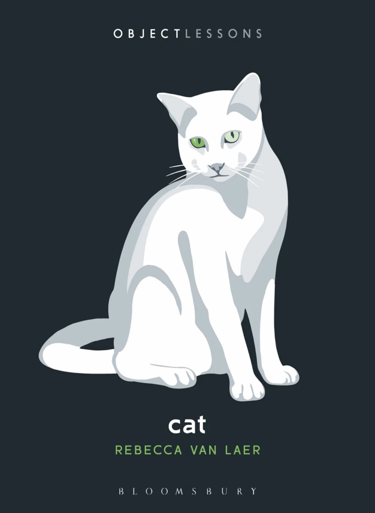 Unraveling the Enigma: What Makes Rebecca van Laer’s 'Cat' a Must-Read Mystery