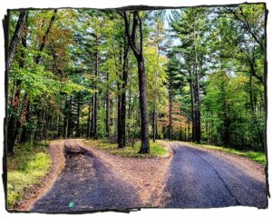 The Shocking Truth Behind Oligarch-Funded "Writers" Exposed—Are They Even Authentic?