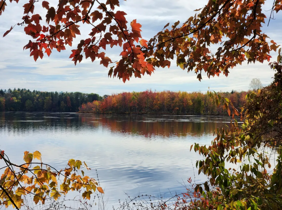 Unlock the Secret Patterns Behind Irregular Verbs in Past Tenses You Never Noticed!