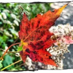 Unmasking the Invisible: How Writers Can Shatter Our Deepest Cultural Myths