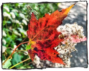 Unmasking the Invisible: How Writers Can Shatter Our Deepest Cultural Myths