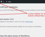 Unlock the Hidden Secrets to Effortless WordPress Updates and Bulletproof Your Site Today!