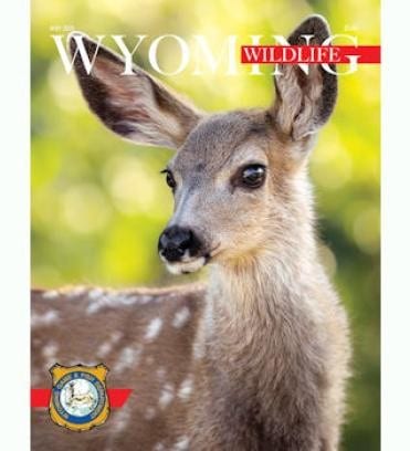 Uncover Wyoming’s Hidden Wildlife Secrets: Creatures You Never Knew Existed