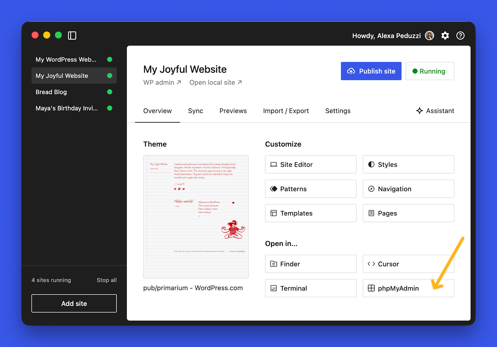 Unveiling WordPress Studio's Game-Changer: Studio CLI on npm & phpMyAdmin Access—What You Need to Know Now!