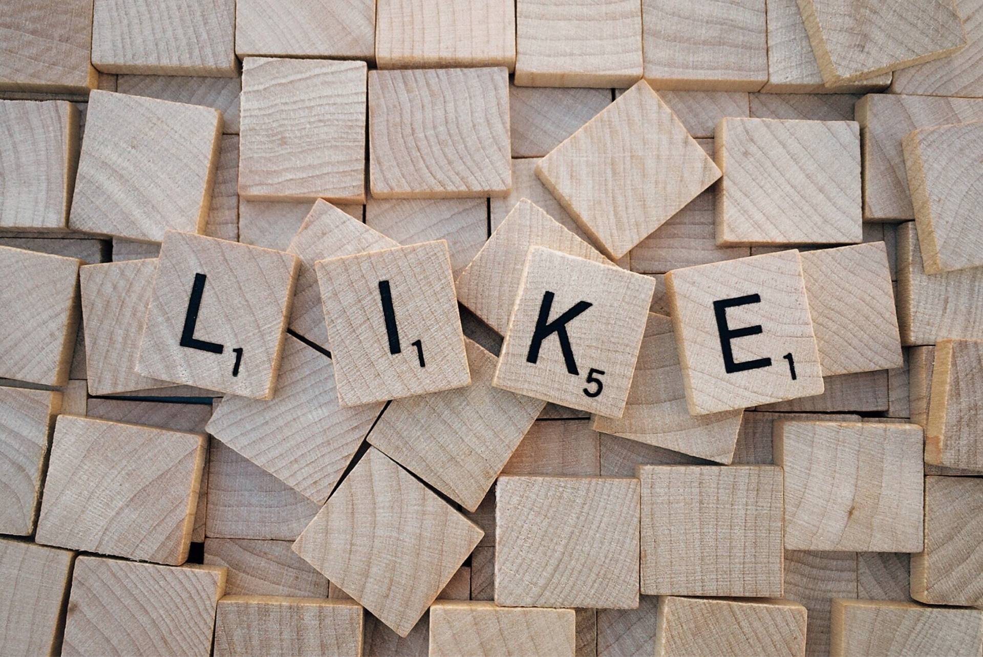 Unlock the Secret Strategies Top Influencers Don’t Want You to Know About Building Social Media Power