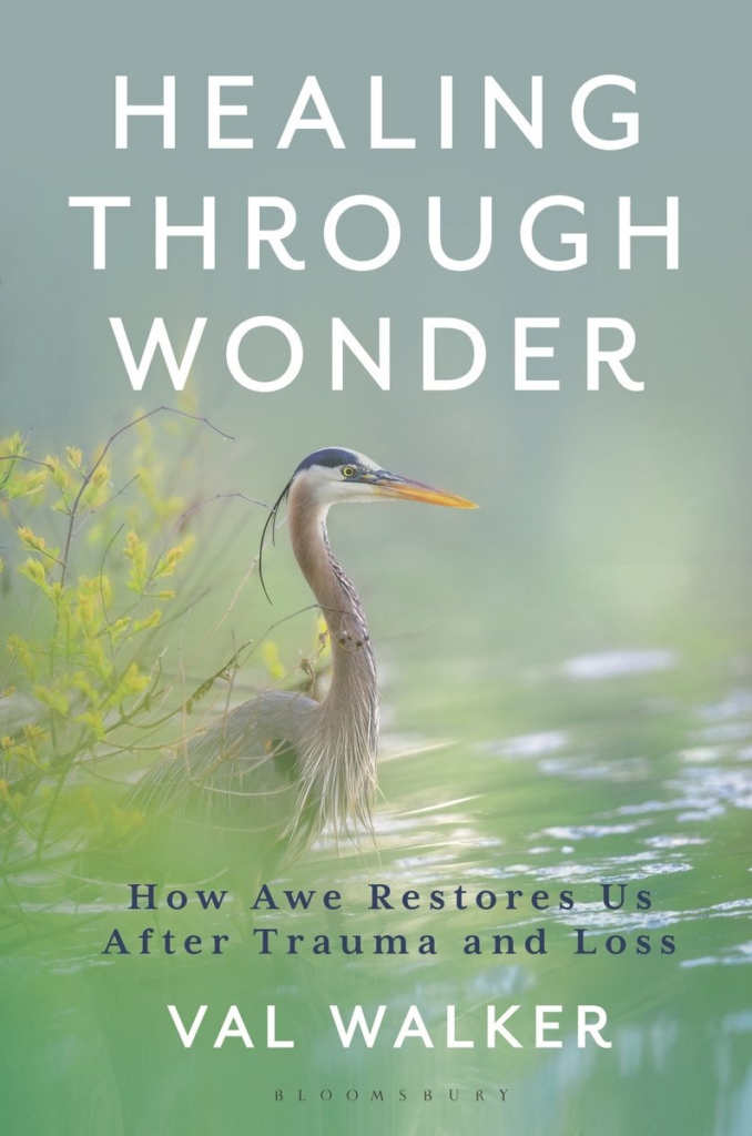 Unlocking the Secret Power of Awe: How Wonder Transforms Trauma into Healing