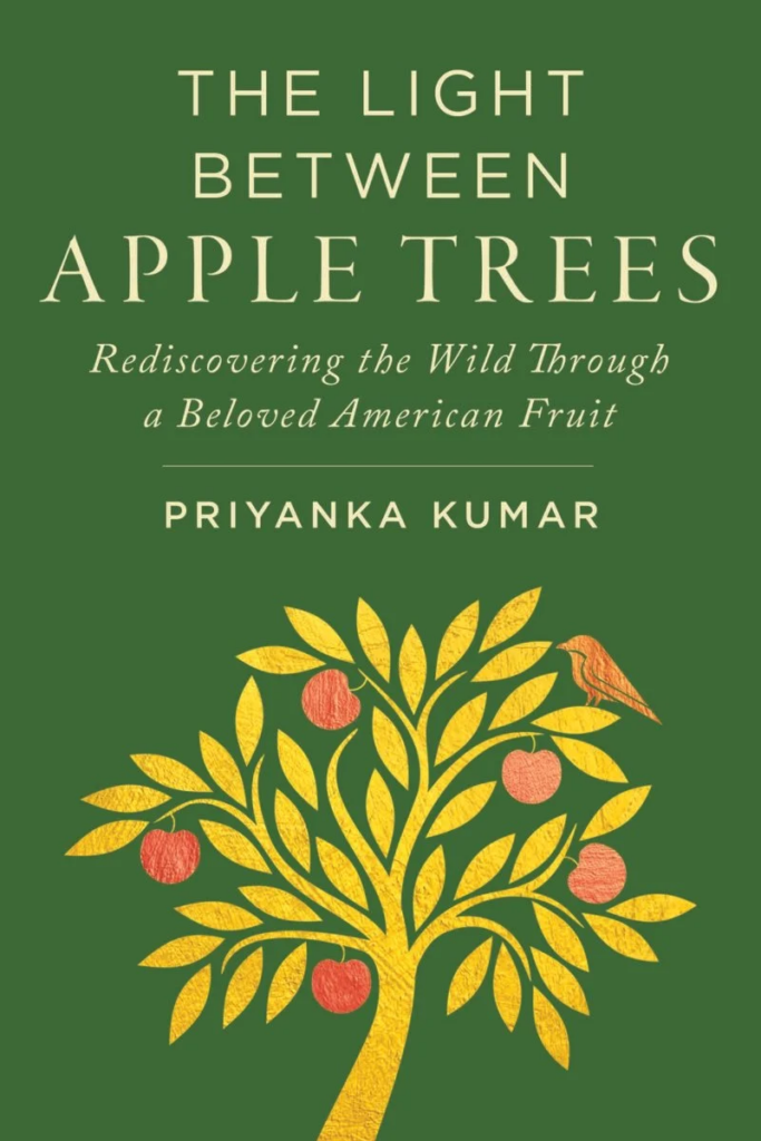 Unveiling Secrets and Shadows: A Riveting Journey in The Light Between Apple Trees