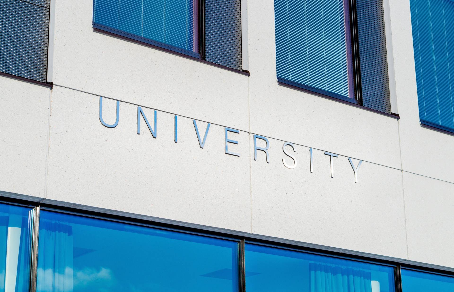 Why Are Top CEOs Flocking to These Universities? The Surprising Truth Revealed!