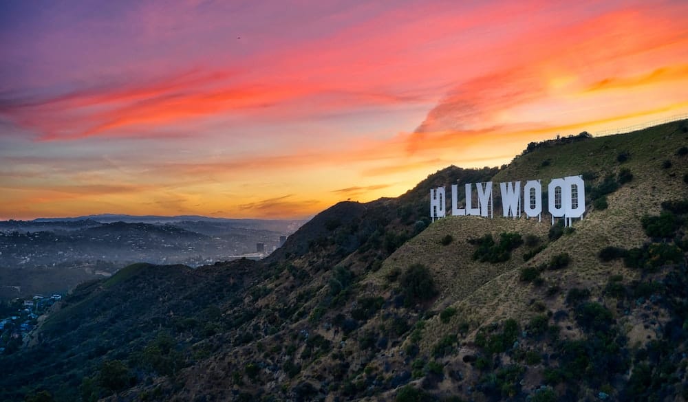 Spec Script "Wildman" Lands Major Deal—What Secrets Lie Beneath the Madness?