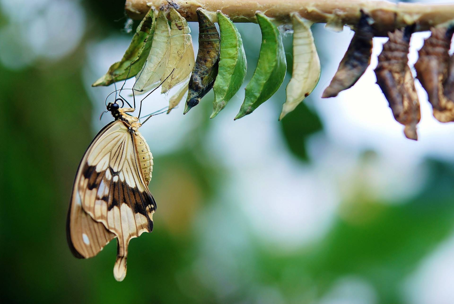The Hidden Power of Your Personal Brand During Life's Biggest Transitions