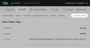 Unlock Hidden SEO Secrets: Audit Any Page in Under 3 Minutes with This Little-Known Tool