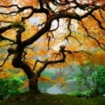 Unlock the Secrets of Autumn: Poetry Prompts That Will Ignite Your Creative Spirit This Fall