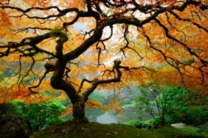 Unlock the Secrets of Autumn: Poetry Prompts That Will Ignite Your Creative Spirit This Fall