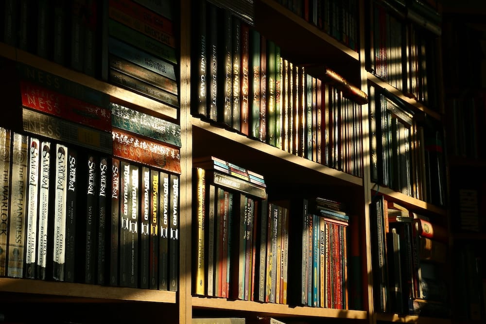 Unlocking Hidden Histories: The Secret Power of Archive Links Revealed