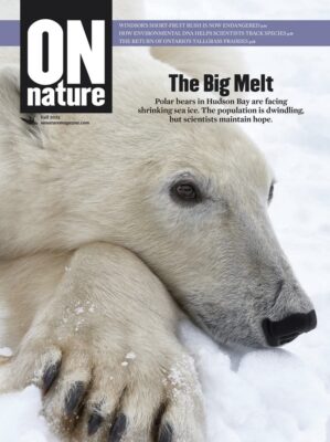 Unveiling Nature's Hidden Secrets: Discover the Astonishing Wonders Lurking in Plain Sight